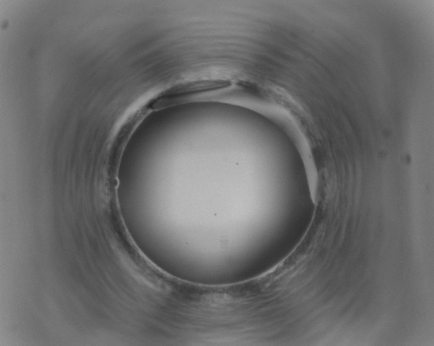 X0000074320392200609082012