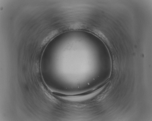 X0000074320393200609082012