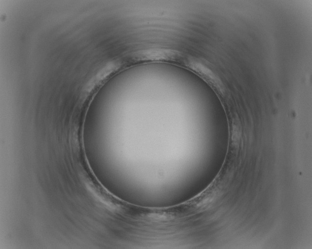 X0000074320394200609082012