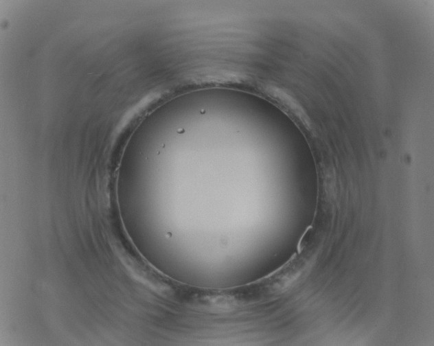 X0000074320395200609082012