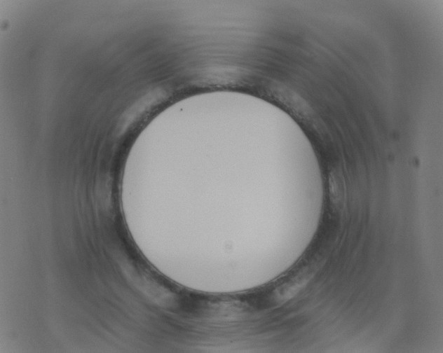 X0000074320396200609082012