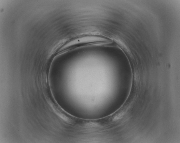 X0000074320397200609082012