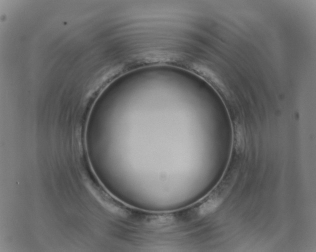 X0000074320398200609082012