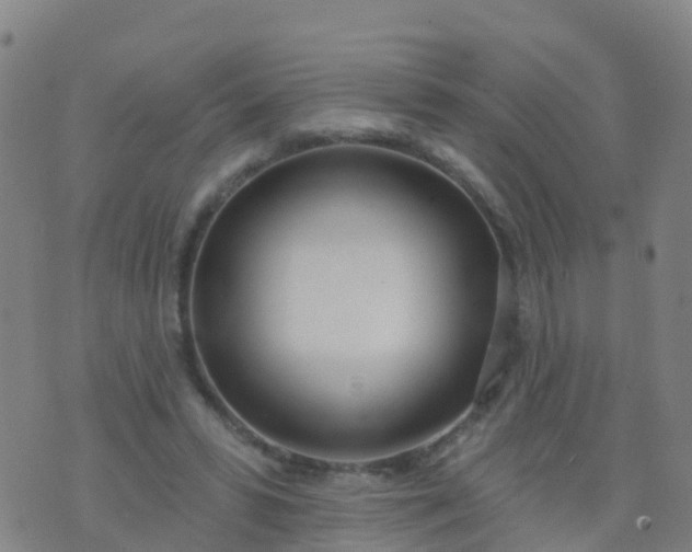 X0000074320399200609082012