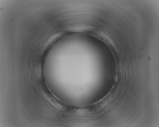 X0000074320400200609082012