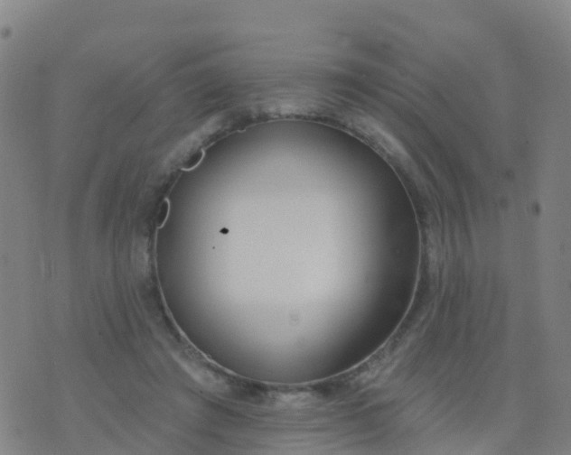 X0000074320401200609082012