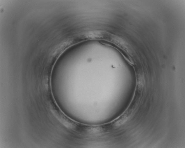 X0000074320402200609082012