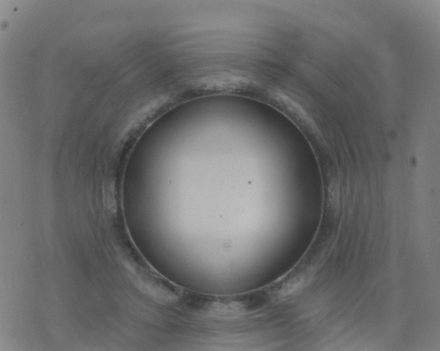 X0000074320403200609082012