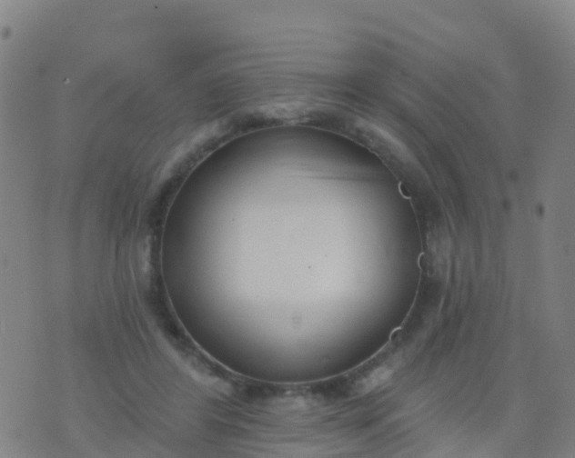 X0000074320404200609082012