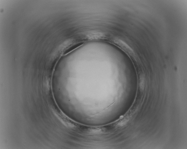 X0000074320405200609082012