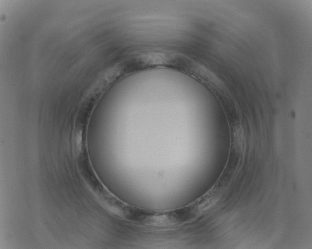 X0000074320406200609082012