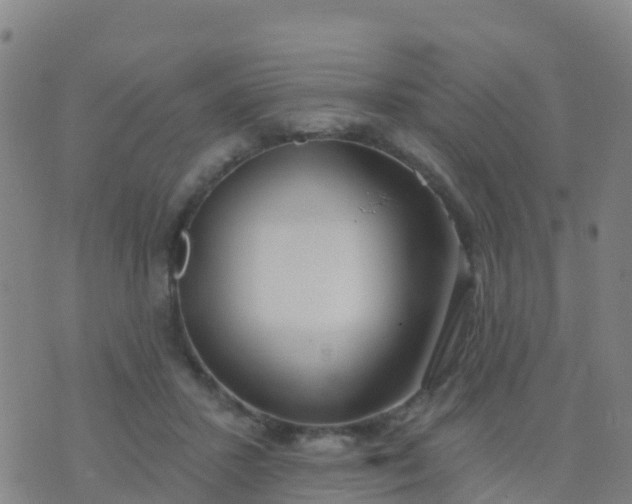 X0000074320407200609082012