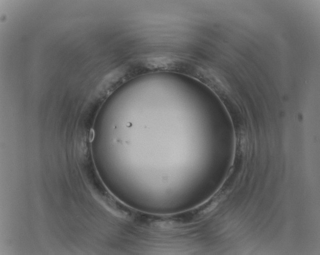 X0000074320408200609082012