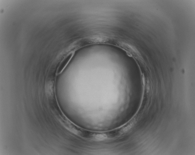 X0000074320409200609082012