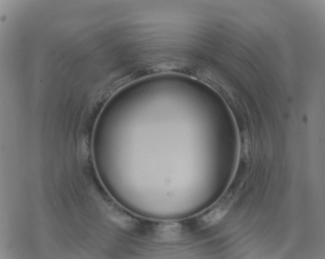 X0000074320410200609082012