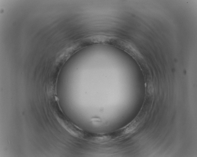 X0000074320411200609082012