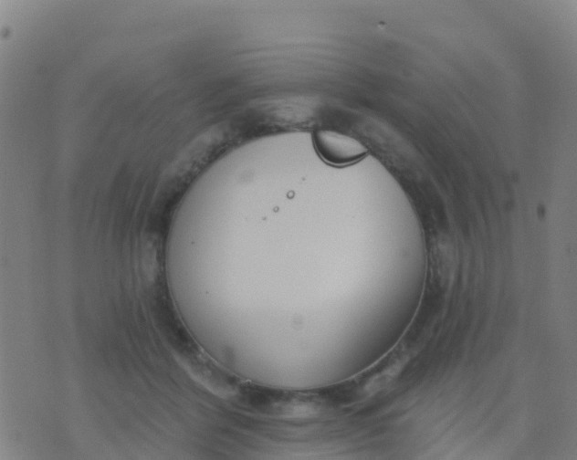 X0000074320412200609082012