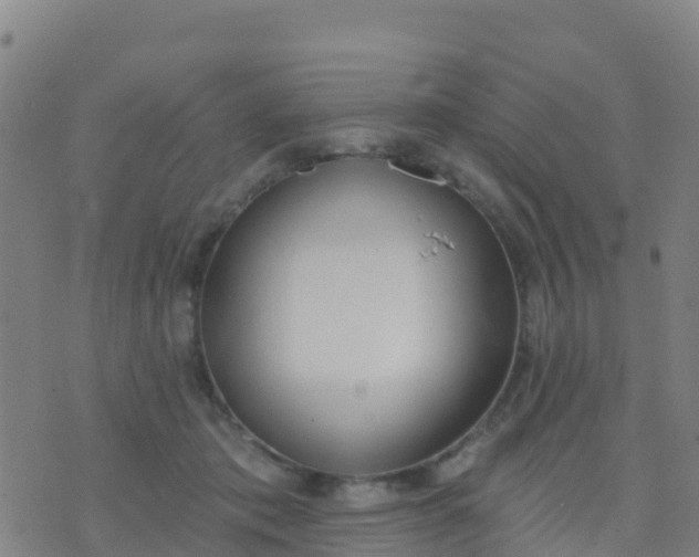 X0000074320413200609082012