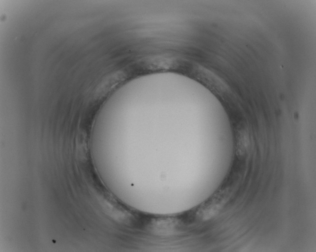 X0000074320414200609082012