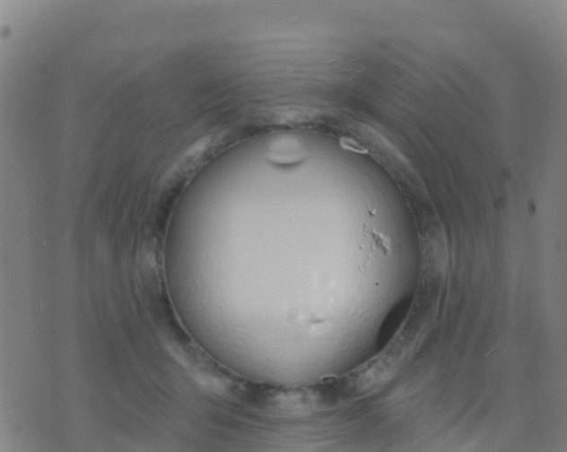 X0000074320415200609082012