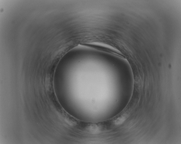 X0000074320416200609082012