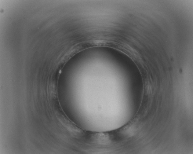 X0000074320421200609082012