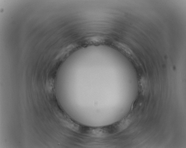 X0000074320423200609082012