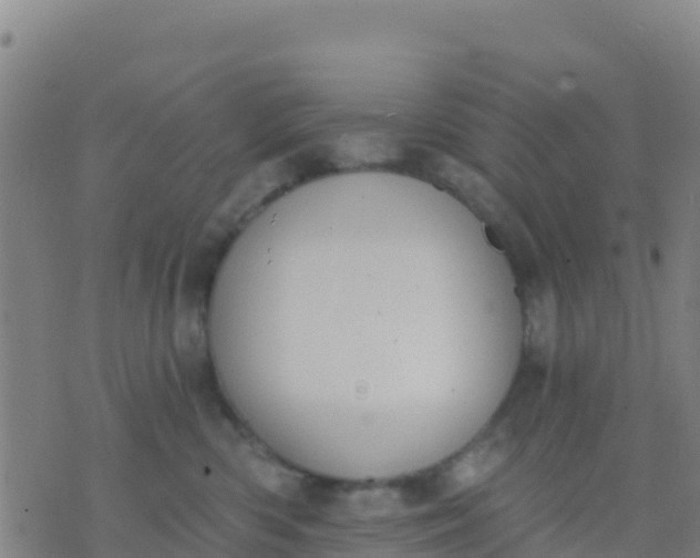 X0000074320426200609082012