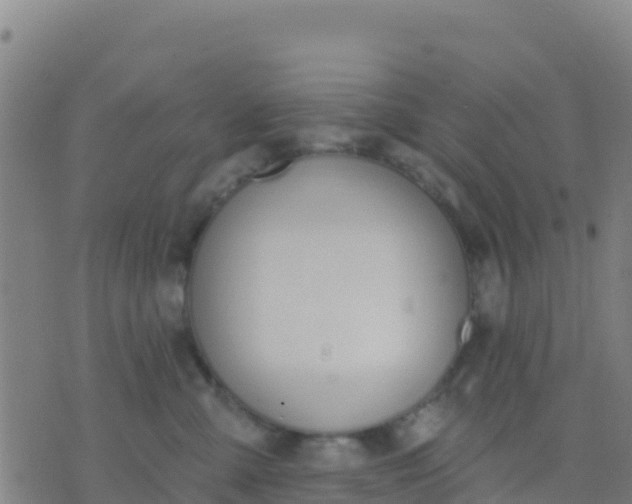 X0000074320427200609082012