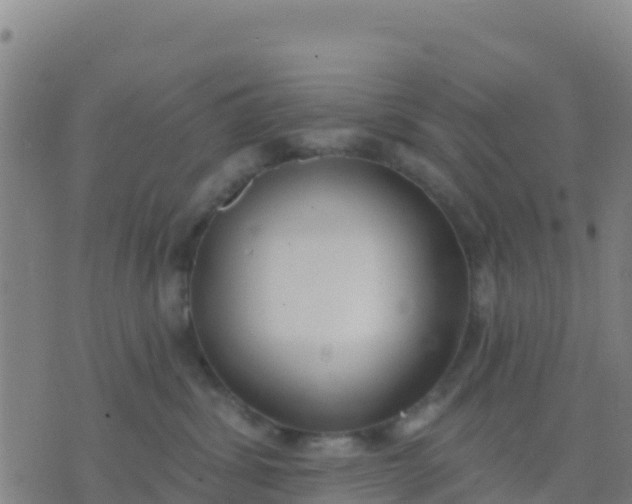 X0000074320428200609082012