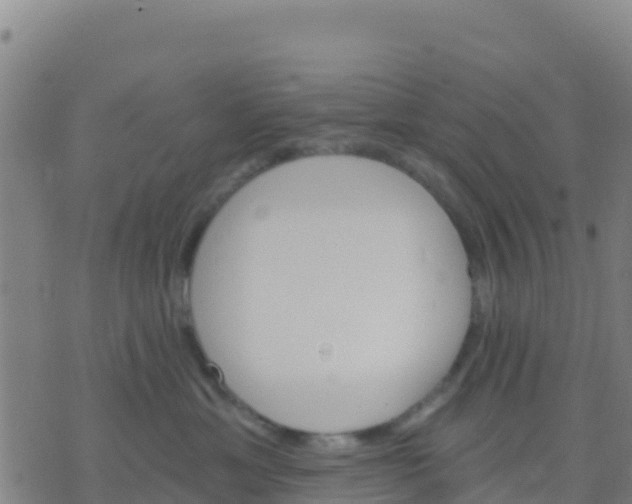 X0000074320429200609082012