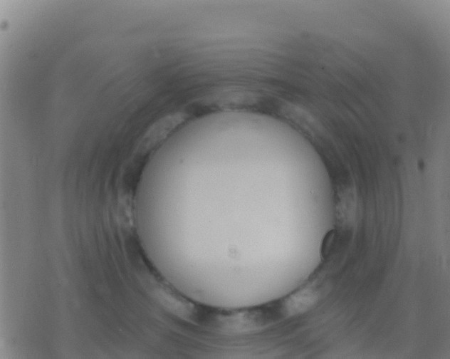 X0000074320430200609082012