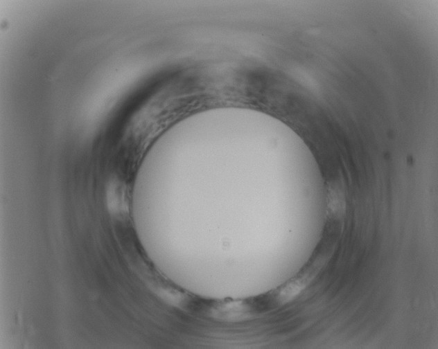 X0000074320431200609082012