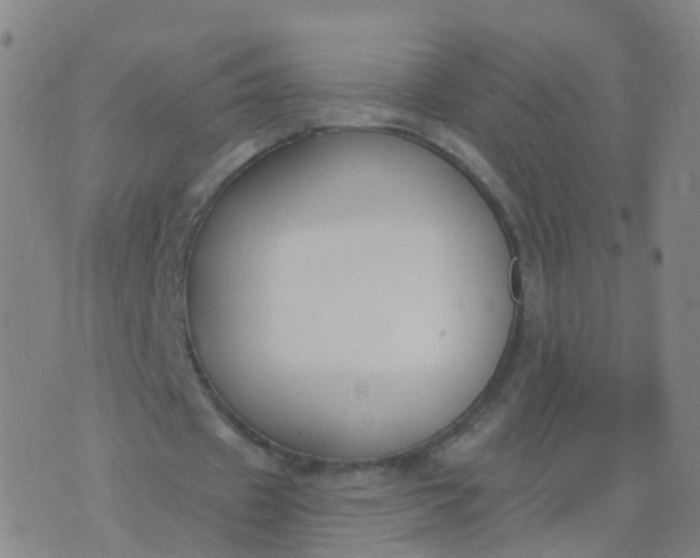 X0000074320433200609082011