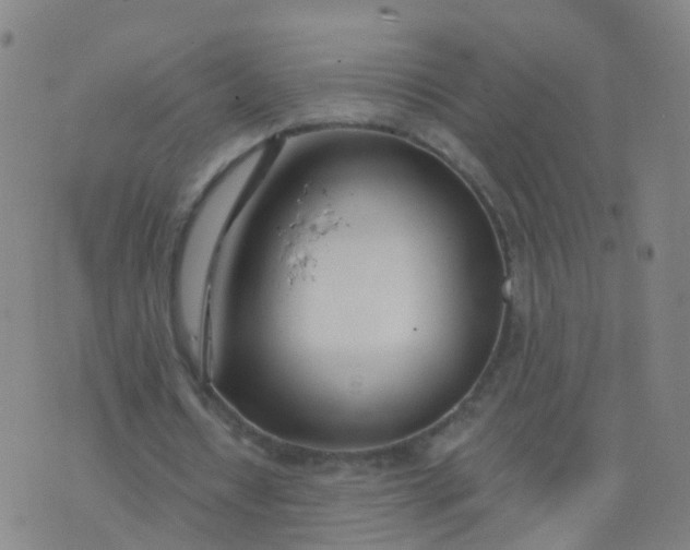 X0000074320434200609082011