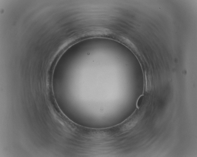 X0000074320435200609082011