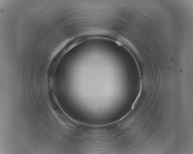 X0000074320436200609082011