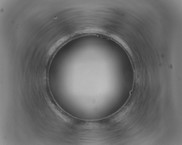 X0000074320437200609082011