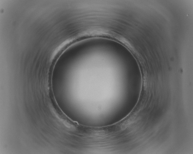 X0000074320438200609082011