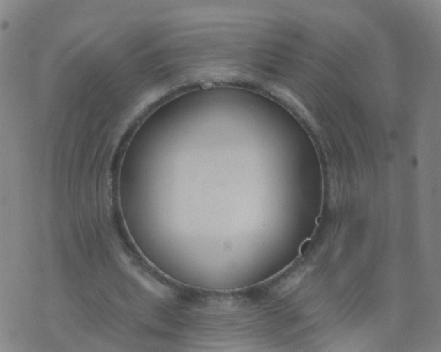 X0000074320439200609082011