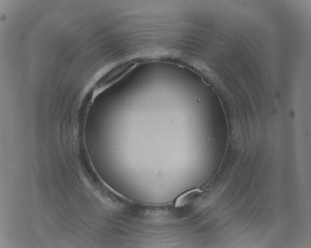 X0000074320440200609082011