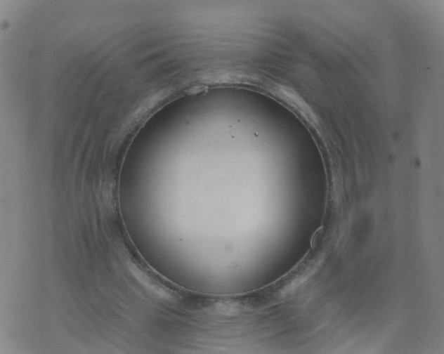 X0000074320441200609082011