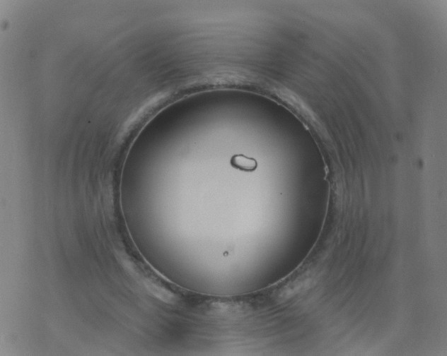 X0000074320442200609082011