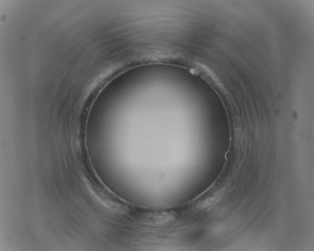 X0000074320443200609082011