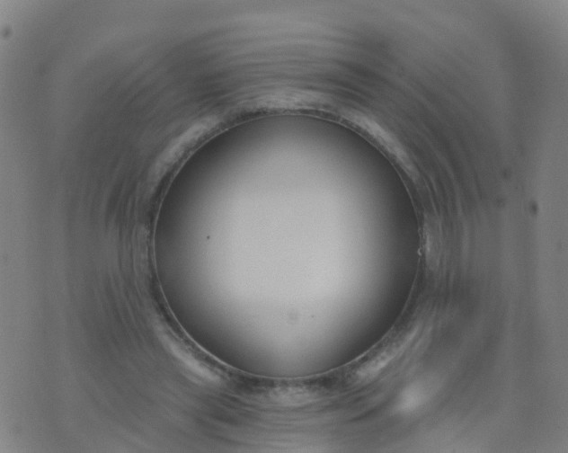 X0000074320445200609082011