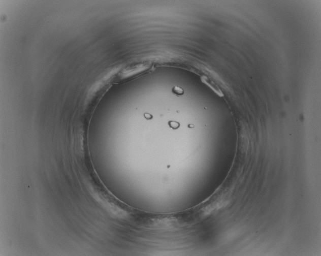 X0000074320446200609082011