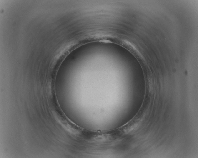 X0000074320447200609082011