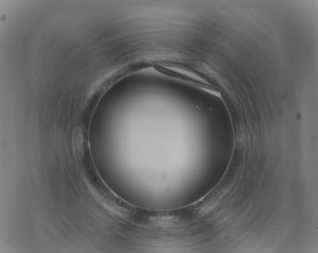 X0000074320448200609082011