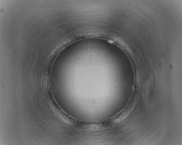 X0000074320449200609082011