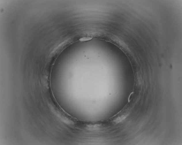 X0000074320450200609082011